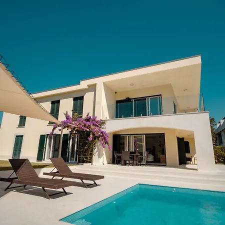 Luxury With A Swimming Pool Vlasici, Pag - 25230 Vila