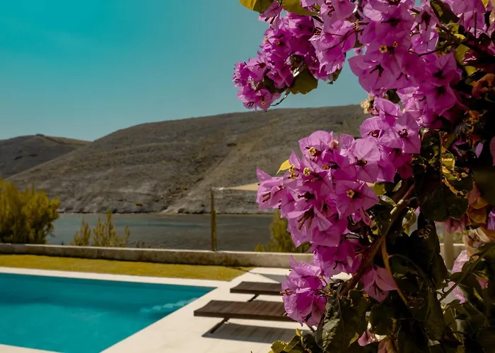 Luxury With A Swimming Pool Vlasici, Pag - 25230 Villa *
